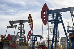 d8490f1424d2bb20001185e4fb5fcc83.jpg